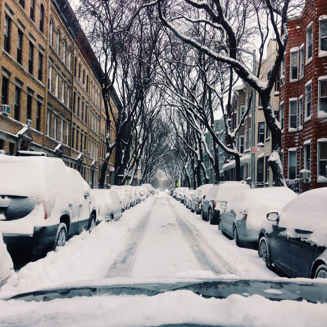 Brooklyn, Snowy neighborhood — Stock Photo