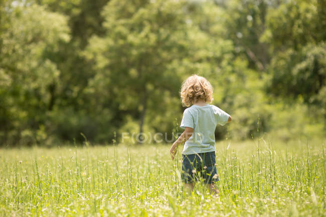 Niño en hierba verde - foto de stock
