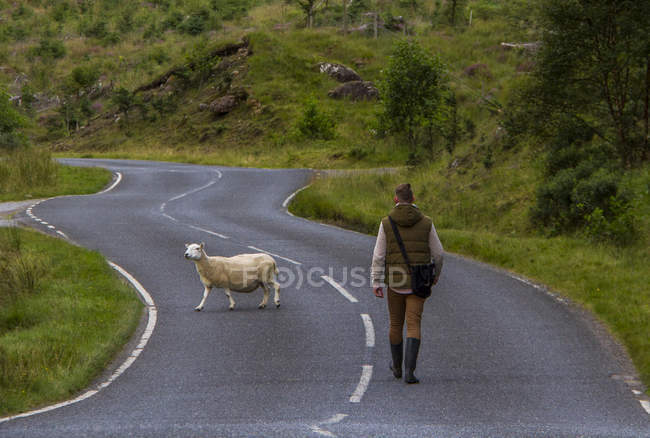 Homme marchant sur la route — Photo de stock