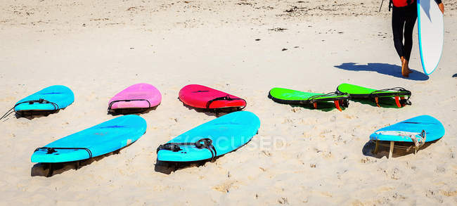 Tavole da surf sulla sabbia della spiaggia — Foto stock