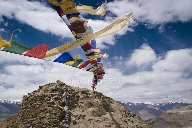Namgyal tsemo gompa and prayer flags — Stock Photo