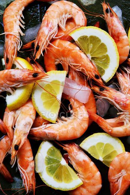 Pre cooked shrimps with lemon — Stock Photo