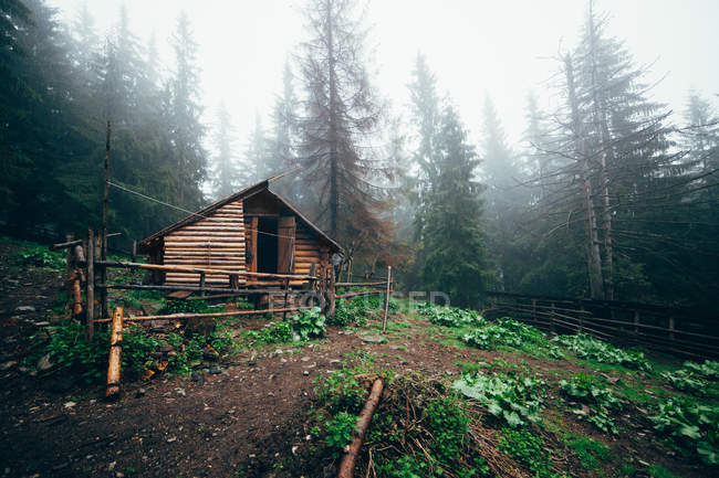 Cabane de chasse dans les bois — Photo de stock