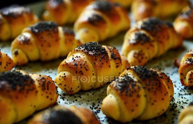 Rolls topped with poppy seeds — Stock Photo