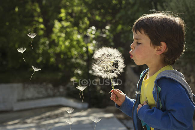 Boy blowing dandelion — Stock Photo