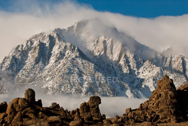 Pico de pino solitario en las nubes - foto de stock