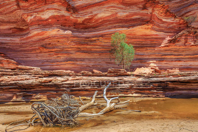 Formaciones rocosas del desierto - foto de stock