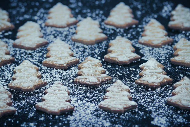 Gingerbread cookies on tray — Stock Photo