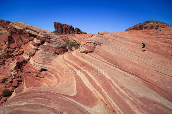 Lone hiker in Valley of Fire State Park — Stock Photo