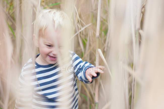 Boy walking through wheat field — Stock Photo