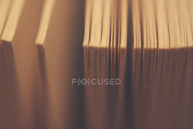 Pages of old book — Stock Photo
