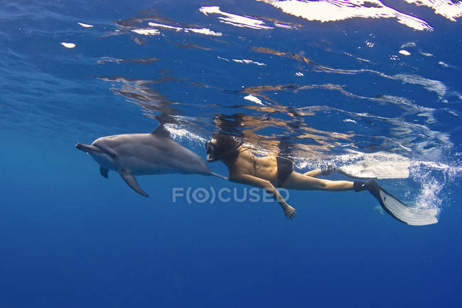 Femme nageant avec dauphin — Photo de stock