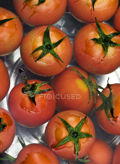 Pile of organic tomatoes — Stock Photo
