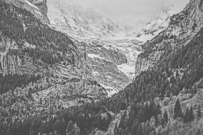 Vista dos Alpes de Grindelwald — Fotografia de Stock
