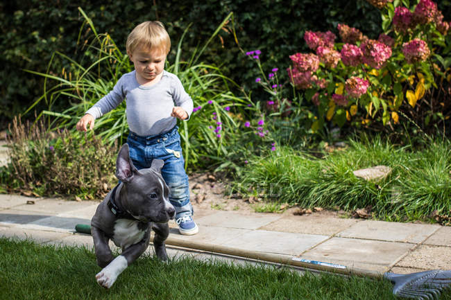 Ragazzo e cucciolo giocare — Foto stock