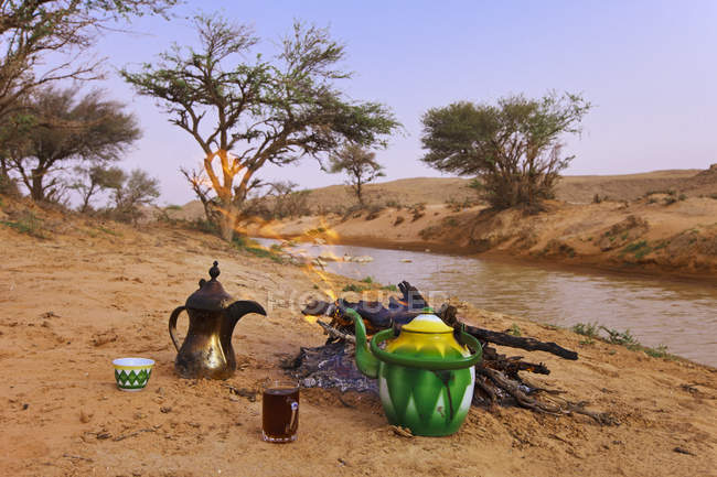 Saudi arabien, picknick in der wüste — Stockfoto