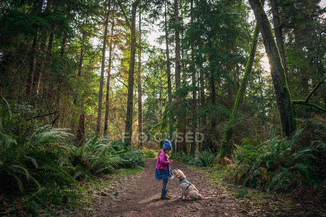 Chica en el bosque con cachorro perro - foto de stock