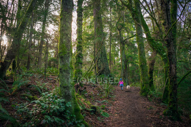 Girl running through forest with dog — Stock Photo