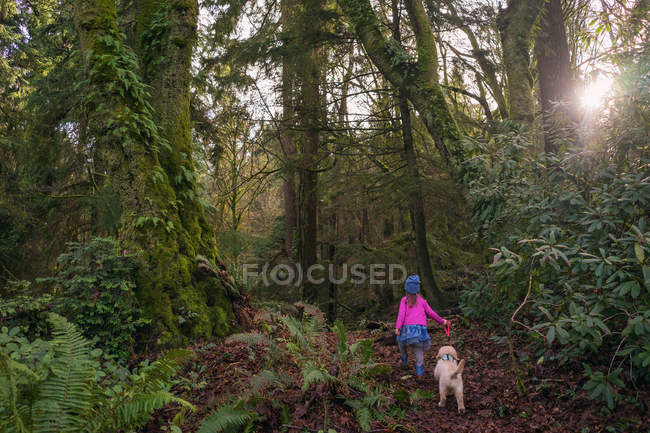 Girl walking through forest with dog — Stock Photo