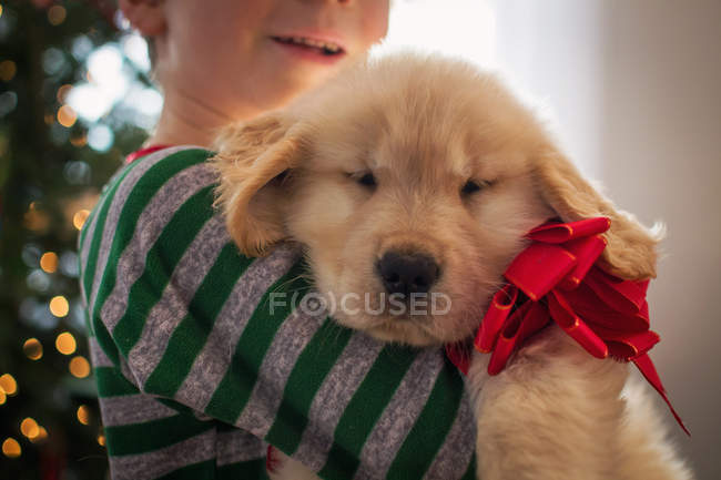 Niño abrazando cachorro perro - foto de stock