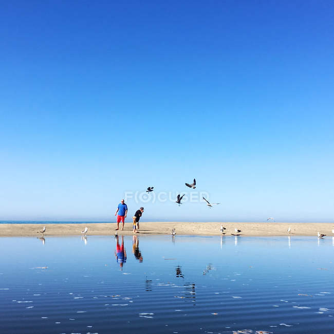 Чоловік і сини на пляжі — стокове фото