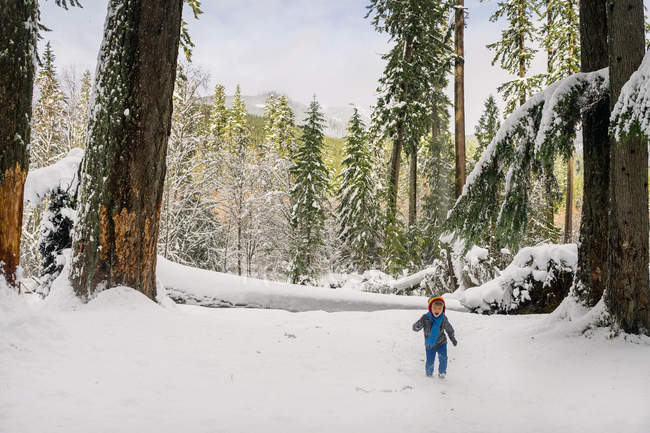 Menino correndo na floresta de inverno — Fotografia de Stock