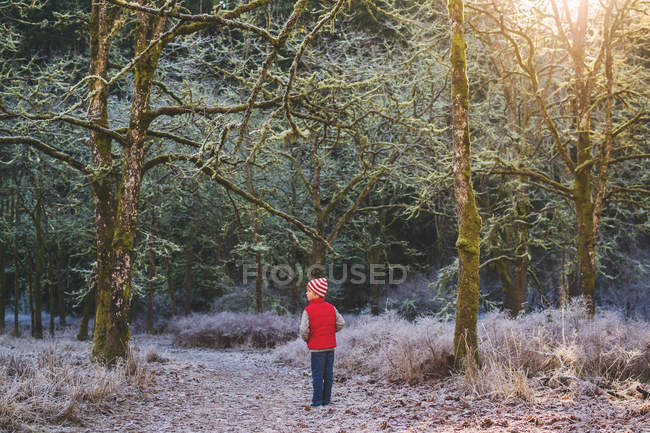 Хлопчик стоїть в лісі — стокове фото