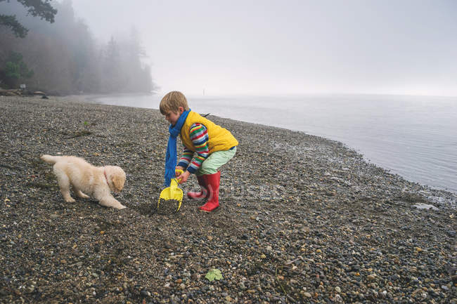 Chico jugando con retriever cachorro en playa - foto de stock