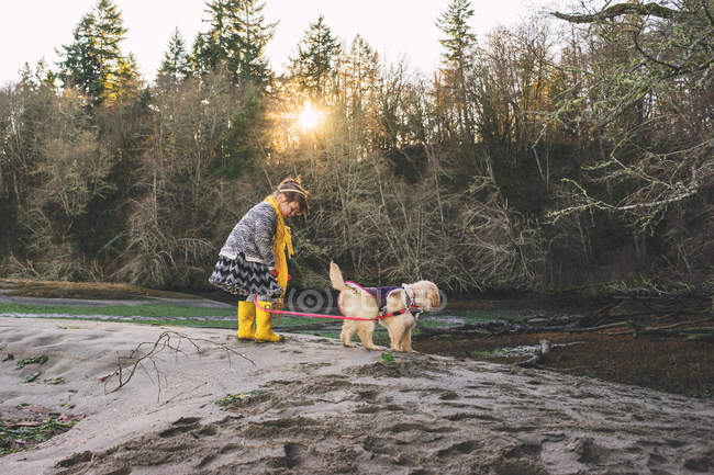 Девушка берет ретривер щенок на прогулку — стоковое фото