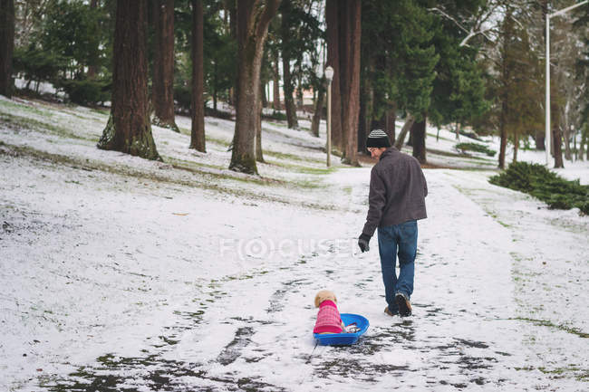 Man pulling dog on sledge — Stock Photo