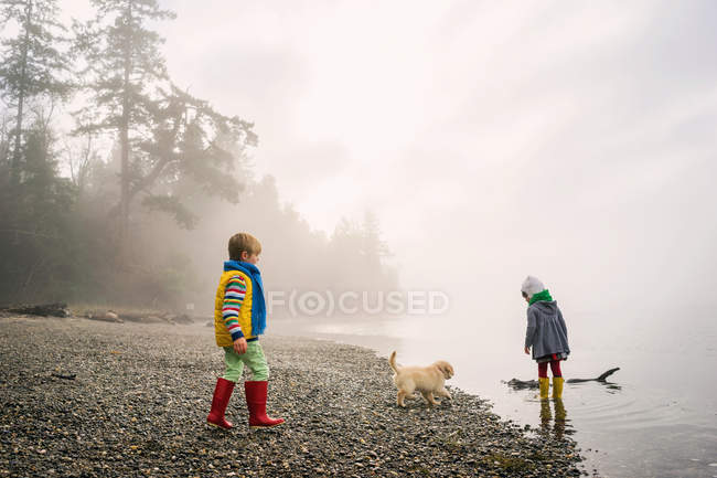 Niño y niña jugando con cachorro perro - foto de stock