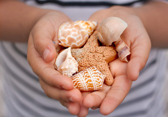 Menina segurando conchas e estrelas do mar — Fotografia de Stock