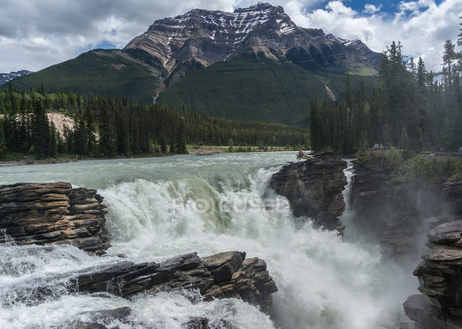 Vista de Athabasca Falls - foto de stock