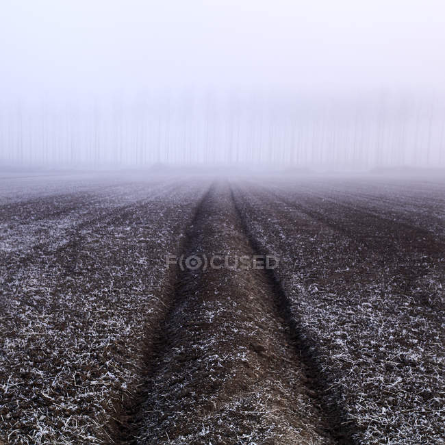 Fallow field in fog and hoarfrost — Stock Photo
