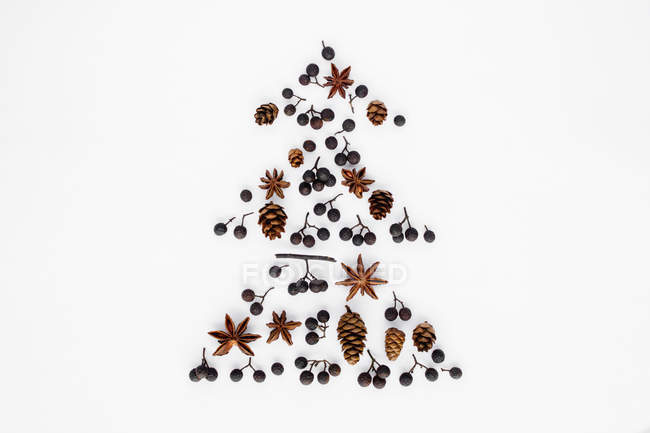 Sílhueta de pinheiros de Natal — Fotografia de Stock