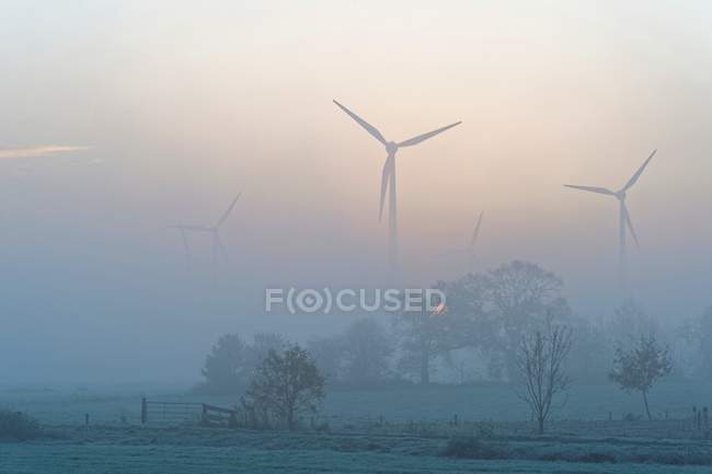 Wind power turbines on field — Stock Photo