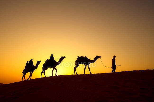 Four people and three camels — Stock Photo
