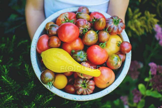 Ребенок держит помидоры — стоковое фото