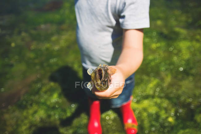 Garçon tenant un poisson fraîchement pêché — Photo de stock