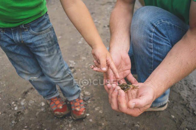 Boy pointing at snail — Stock Photo