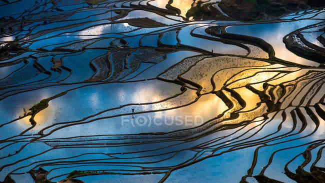 Campos de arroz en terrazas - foto de stock