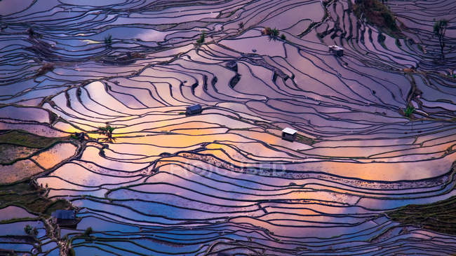 Террасные рисовые поля — стоковое фото
