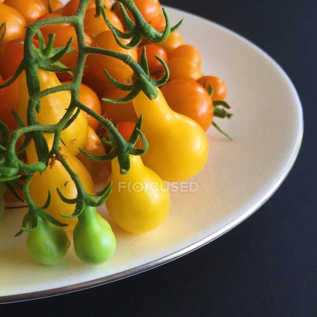 Tomates madurados en vid - foto de stock