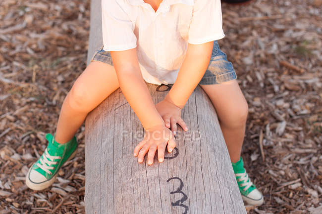 Мальчик на стволе дерева — стоковое фото