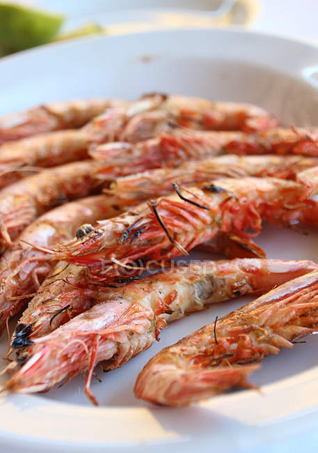 Assiette de crevettes grillées — Photo de stock