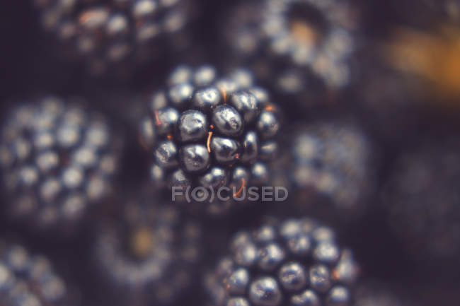 Close-up of Fresh blackberries — Stock Photo