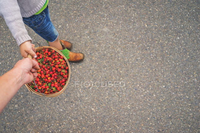 Father and son carrying rosehips — Stock Photo