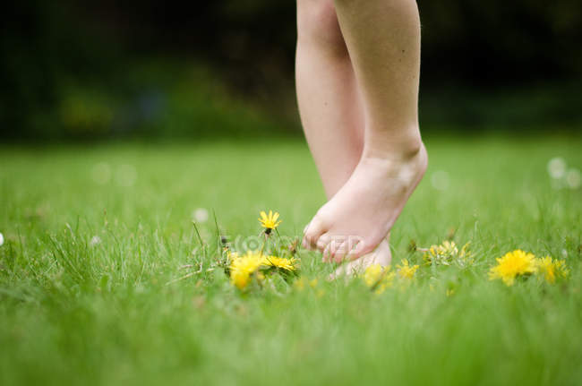 Criança descalço pés entre grama — Fotografia de Stock