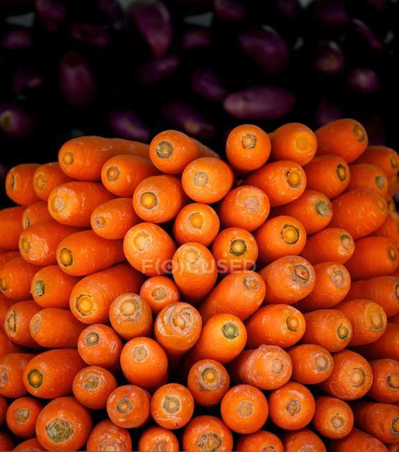 Large group of carrots — Stock Photo