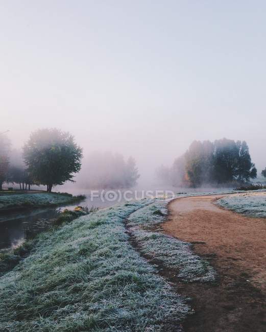 Beau brouillard matinal — Photo de stock